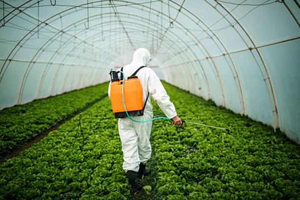 Best Best Pest Control Companies  in Gower, MO
