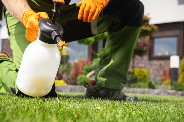 Best Pest Removal Services  in Gower, MO
