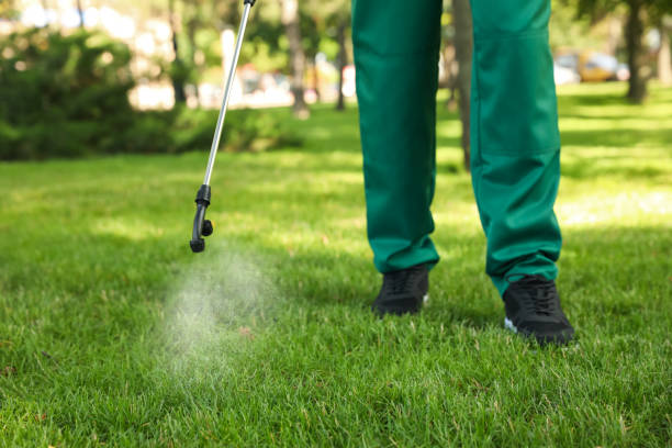 Best Emergency Pest Control  in Gower, MO